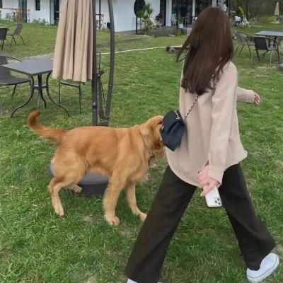 幸福马上来